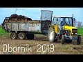 ☆ Obornik 2019☆ 60t/ha ✔☆ Ursus 1012 & Ursus C-360 ㋡